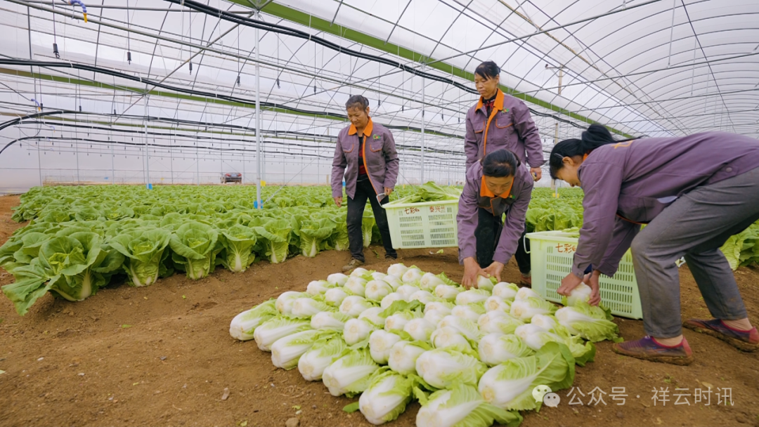 1751943307351094717.png 640 (1).png