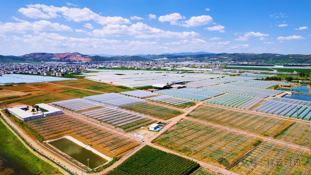 1751943469404002026.png 640 (3).png